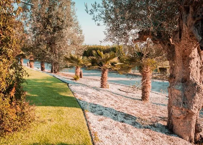 Guimaglamp * Guimaraes